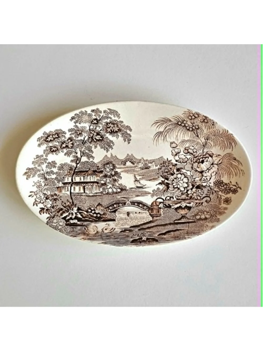 Vintage Royal Staffordshire 
